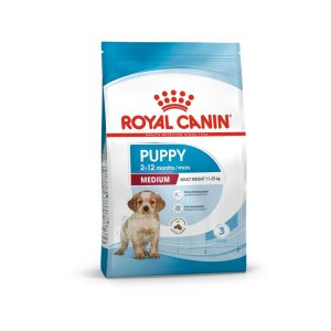 Medium Puppy