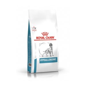 Hypoallergenic Canine